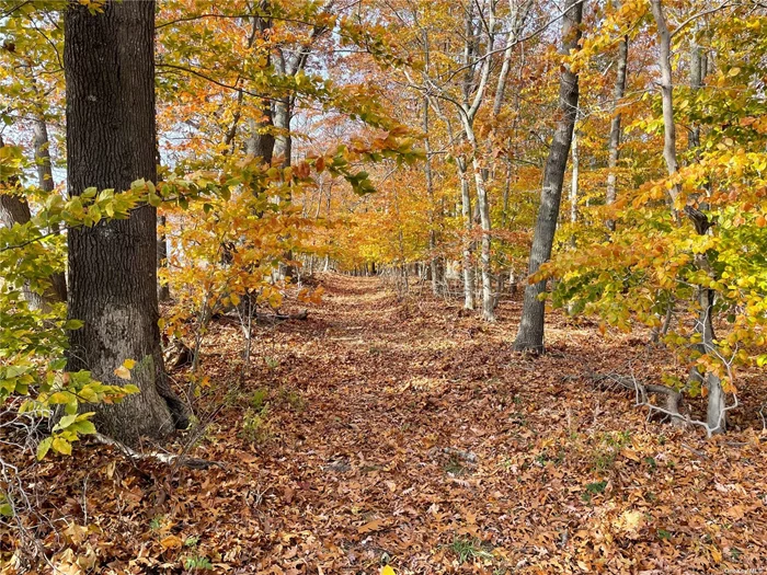 32 Acres of unimproved land available in the heart of the North Fork! 24 acres is with AC zoning and has development rights intact. 8 acres is preserved by Peconic Land Trust. A gorgeous piece of tranquil land with many options - dwellings, farming, horses, wineries and more!