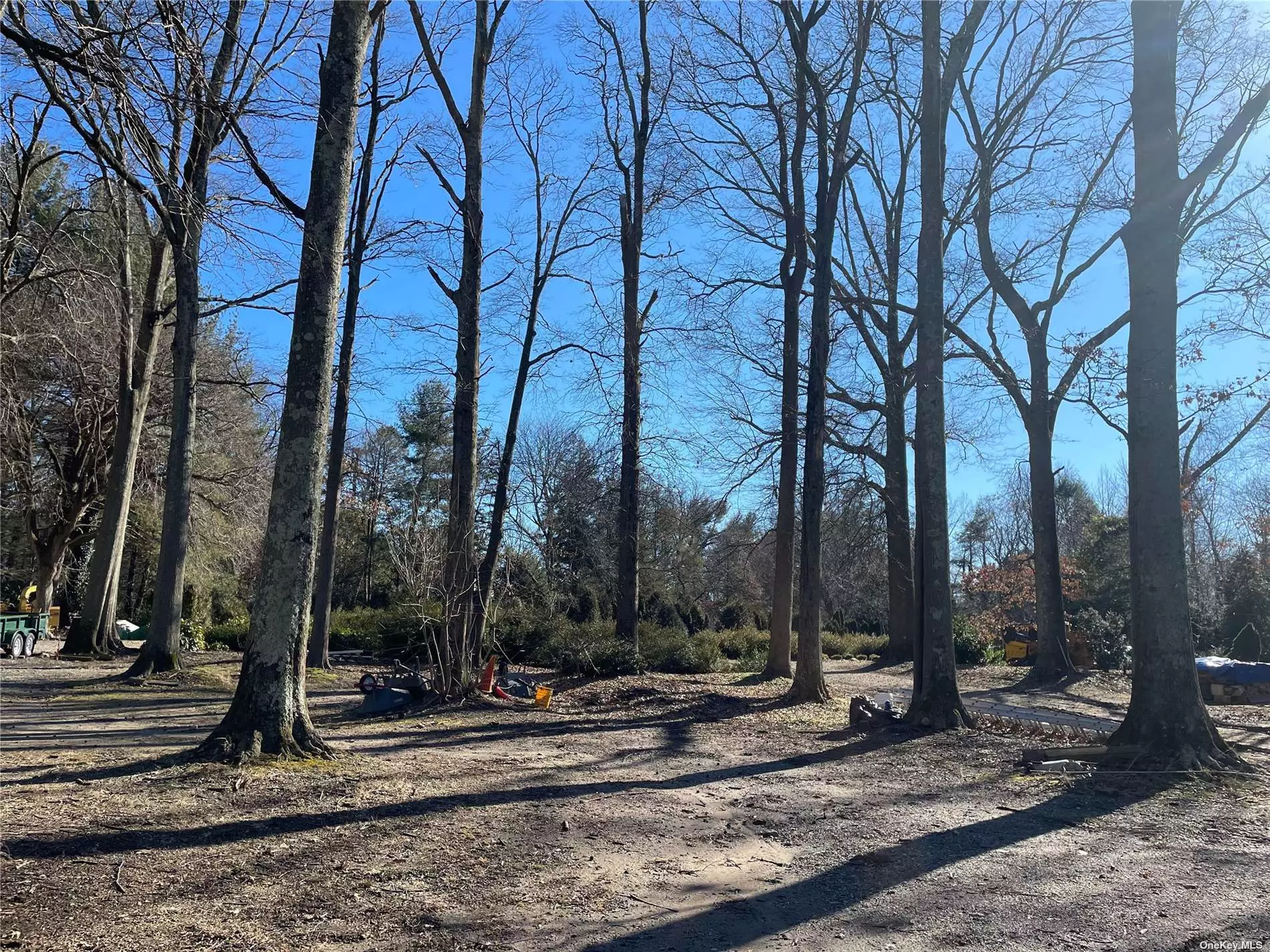 2 Acre Desirable, Buildable Lot situated near the Locust Valley, shopping, Restaurants and the Train. Wonderful opportunity to build your own Dream House