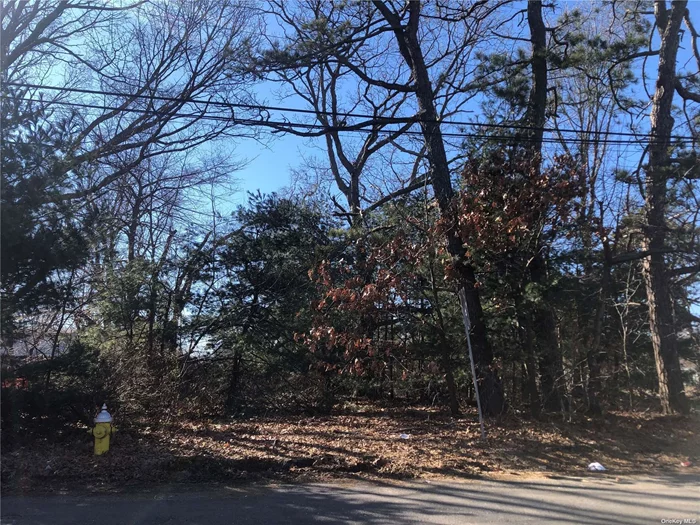 Wooded lot ready for you to build your Dream Home! 75 x 100 corner lot. Convenient to all, shopping, railroad & town. Call for additional information.