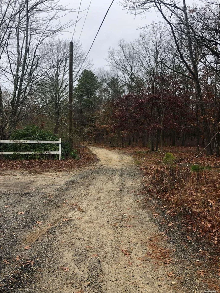 Wooded single and separate 1 acre residential building lot. Water and electric nearby. Beautiful new homes and subdivision in area. Several acres of town property behind this lot and great for horse riding or hiking. Verify Info with the Town of Brookhaven.
