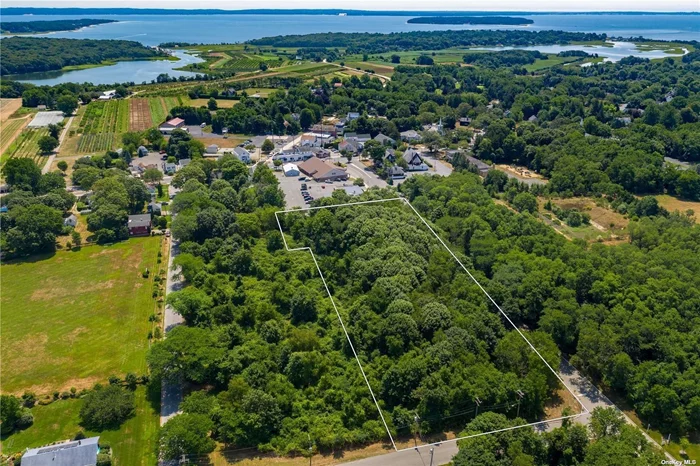 Come build your home in the downtown Hamlet of Cutchogue, short distance to stores, restaurants and Village Green, something for everyone. Planned four lot sub-division Board of Health approvals in place. Residential use within Hamlet business is an allowable use.