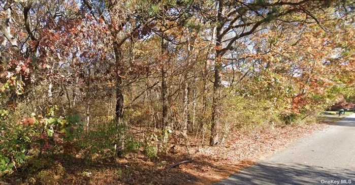 Residential lot, borders State land. lot is just East and adjacent to 69 Palmetto.