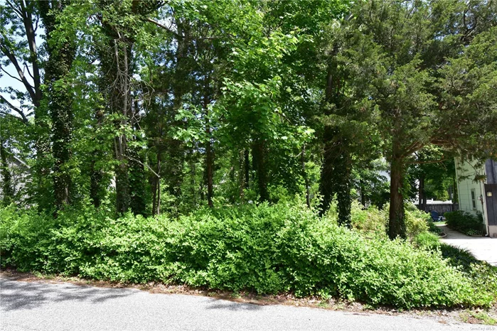 Predominantly flat, lightly wooded lot in a beautiful residential neighborhood. Get permits and build your dream home.