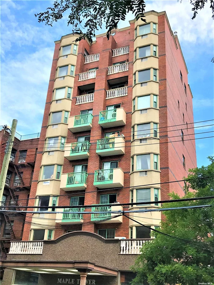 Approximate 689sqFt., Facing south. Newly Renovated. 1BR Plus one Big Storage Room. Sliding Door to Balcony. Bay Window . All Brand New Kitchen Appliances.The prime location in downtown of Fushing. 8-storey condo was built in 2011. Ultra-low common charge fees and all renovated.5 minutes to LIRR and 7 train.Convenient to all.