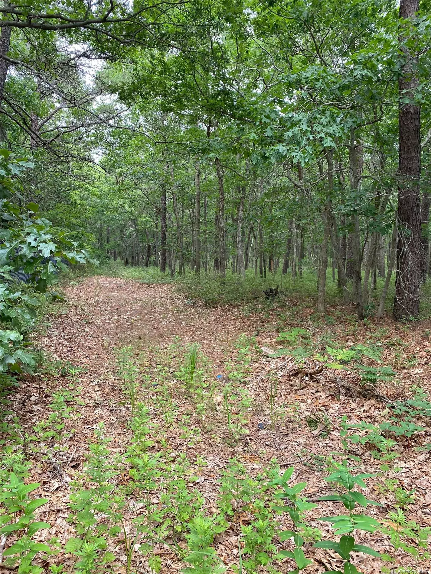5 Acre lot located down dirt road - wooded and level.