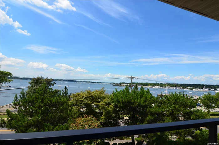 Spectacular water views and sunsets from this beautiful Golden Age Condo set directly across from Manhasset Bay. Large Balcony overlooking the Bay. Water views from the LR/DR, balcony and MBR. MBR Suite with private bath. Updated Kitchen. Den/Storage room. Covered parking space. Unit on first floor however still one floor above grade. Walk to town, restaurants, town dock and more.