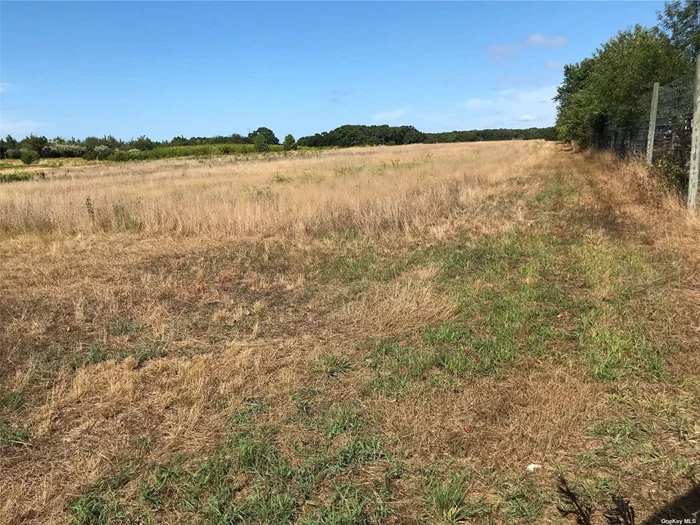 Just listed! Prime North Fork Farm Agricultural Acreage. Preserved 47+ Acres with Development Rights Sold. Perfect for nursery, field crops, orchard, berries, vineyard or horses. Irrigation on site. Add to your current holdings or begin your agricultural adventure now on the beautiful North Fork!