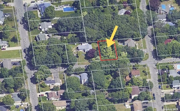 Vacant Land 60 X 100 On Quiet Street. Lots of opportunities.