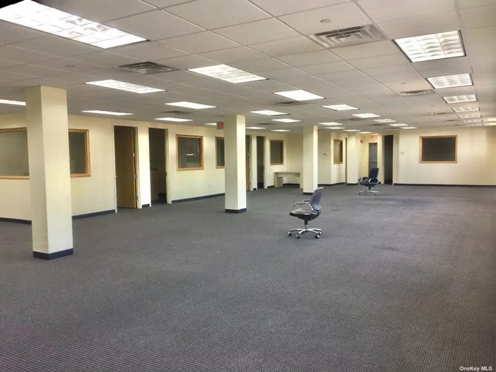 Commercial/ Office space for lease up to 10, 000 sqft in the heart of Hempstead, Long Island, located amongst many national retail tenants, 8 minutes walk to LIRR, the Hempstead transit is located within walking distance serviced by 19 bus routes, the building is centrally located between Adelphi University and Hofstra University.