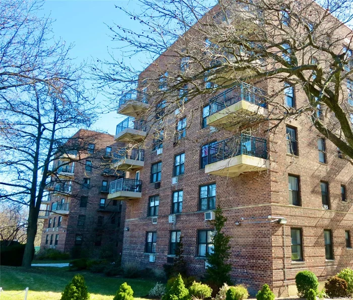 Large Top floor Studio coop in the Oakland Gardens section of Bayside. The studio features hardwood floors, Murphy bed, lots of closets, great size kitchen with window, a separate dining area and a full bath. This well maintained building features 3 parking lots, a pool, laundry room, storage facilities and a bike room. Cats are okay, no dogs. Close to highways, park, shopping and restaurants.