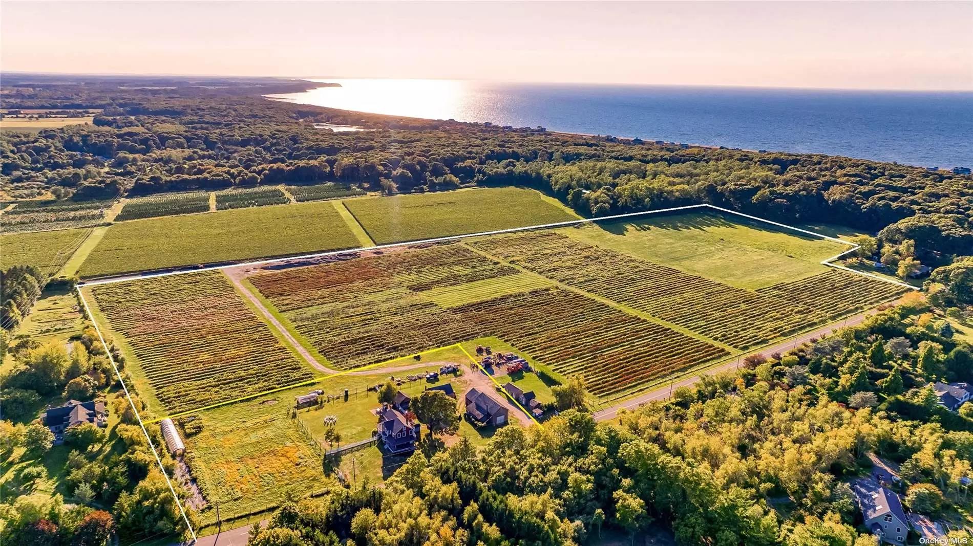 Southold, North Fork: Over 30 acres of active farmland planted with nearly 40, 000 blueberry bushes and approximately 10 acres of fallow, open farmland for expansion or other agricultural uses... well cared for farmhouse and barns on approximately 1.83 acres just up from Horton&rsquo;s Lane Beaches/Horton&rsquo;s Point on the LI Sound. Sublime setting just moments to village amenities. Pursue your agricultural desires today and establish your North Fork legacy.