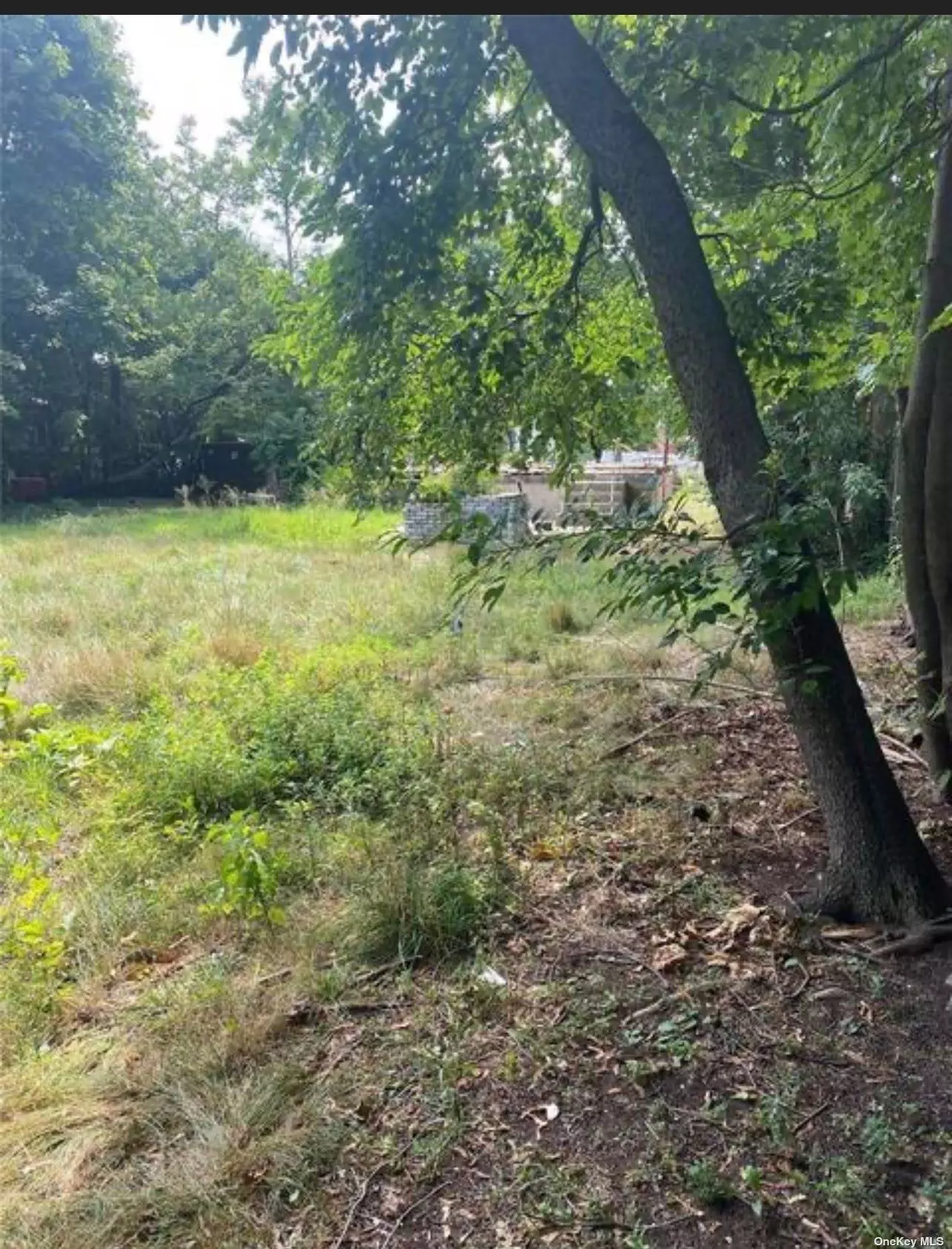 Vacant land . Great for investor or 203k buyer opportunity to Build your dream home.