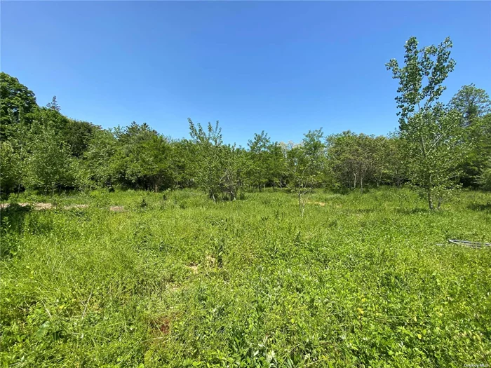2.73 Acres of Flat Open Land Close to Jericho Middle School & Jericho High School. Entrance is NOT on Route 106. Entrance to Property is on Side Road. Build Your Own Dream Home. Room for Tennis Court & Pool. Close to all Major Highways.