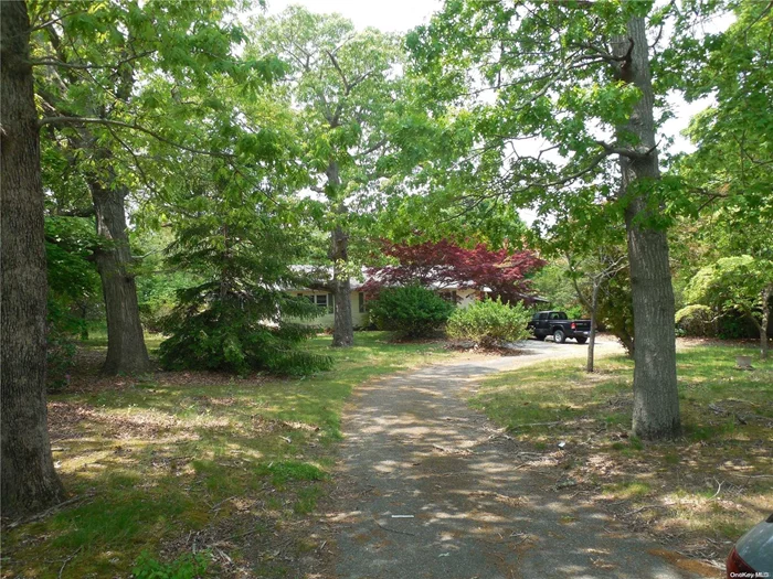 Circular Driveway