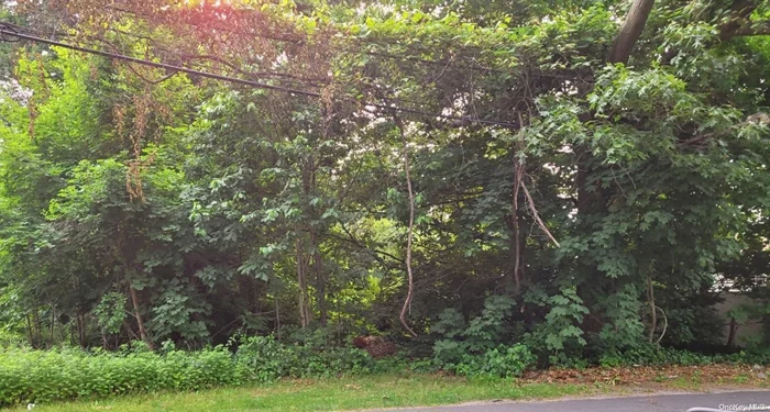 SACHEM SCHOOLS, WOODED LOT. ZONED COMMERCIAL VACANT LAND.