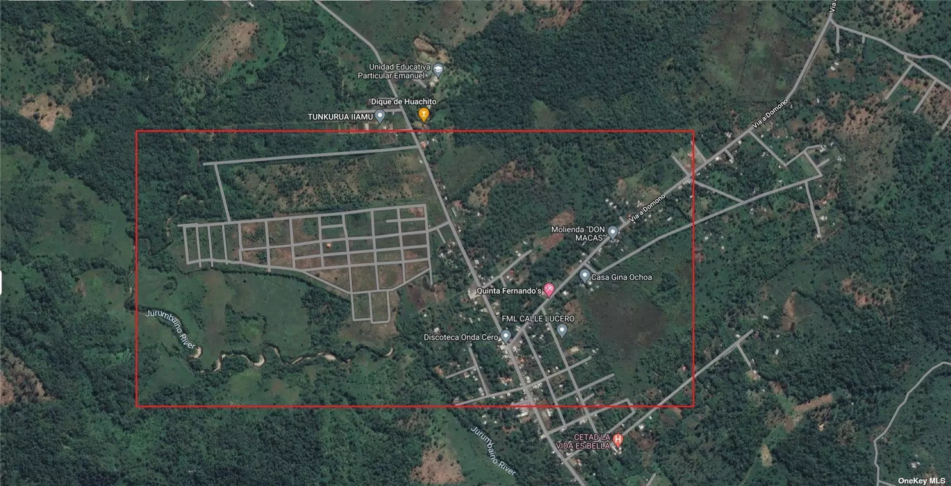 Development opportunity for all investors. A chance to develop your own city in Macas, Ecuador. 442 lots on level land with approved sub-division. Plans have been approved. Development site can be found on Google maps: -2.240026723089643, -78.1