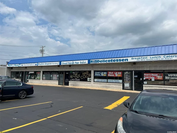 Syosset - Perfect for any kind of retail. High traffic, high visibility retail space in small strip center. 1/4 mile from new Amazon Distribution Center. Parking. Other tenants include a delicatessen, hair salon, auto parts store, florist. Join this dynamic group.