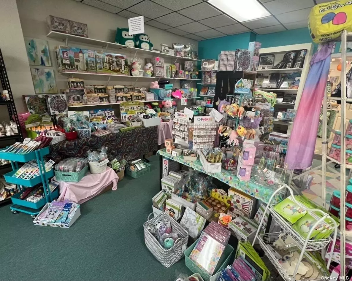 Turnkey Art School and Retail business with an established customer base. Includes fixtures, supplies, inventory and transferrable lease to prime location in Sayville, New York.