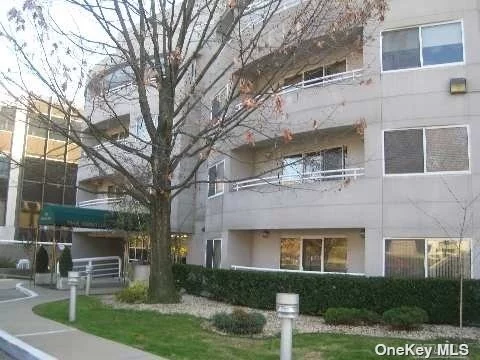 Sunny and spacious luxury apartment with a 24 hour doorman in prestigious Village of Great Neck. 2 Bedrooms, 2.5 baths, kitchen, L-shape living room/dining room, laundry room in the unit, central air conditioning and Heat, Large Balcony and one indoor parking spot. The Gym in building. Minutes away from LIRR, and Grand Central, shopping and restaurants.