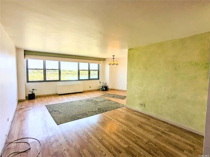 LARGE STUDIO (719sqft!) WITH AMAZING VIEWS of Flushing Meadow Park and Lake! Bright and airy this spacious studio has a open Living Room with dining area. A space off to the side for kings size bed. Walk-in dressing area. Full bath. Kitchen has been renovated. 4 HUGE closets. ELECTRICITY INCLUDED in maintenance. Great value, with rental opportunity after 2yr live in.