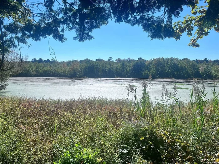 Build your dream house on this beautiful lot .60 of an acre on the Peconic River. Property is a flag lot. Privacy on both sides. Lots of potential. Close to all! Permitted uses of property Single Family Dwelling. River related Retail. Bed and Breakfast with special permits