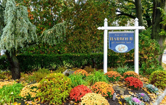 Top Of The Harbour is Located in the Heart of Historic Oyster Bay Hamlet, Convenient to Quaint Main Street with Alfresco Restaurants, Shopping and farmers Market, Beaches, Boating and fishing, LIRR, Schools, and More. This Bright and spacious 1st Floor Apartment Offers A Large Bedroom, Living Room/Dining Room, Updated Kitchen, Updated Full Bath, Laundry, and Storage On the Premises. Maintenance Includes Taxes, Heat, Gas, Water, Landscaping, Parking, And Snow Removal.