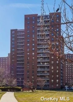 Great Location in the Heart of Rego Park. Highly sought-after and upscale living experience in Park City Estate Complex with 24Hr Security and gated entrance. On-site Laundromat facilities; access to an impressive array of top-notch amenities, the Park City Swimming club, pet-friendly accommodations, and garage spots. Largest One Bedroom Coop Apartment in the building, but the Living Room and Bathroom needs renovation. Close to Shops, ex. Rego Park Shopping Center. Close to School, Public transportation, park, LIRR, House of Worships and etc. Convenient living environment. Pets are allowed.