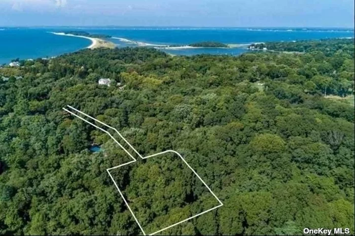 Selling Vacant Land Located on the back of the Prestigious Noyac Country Club Golf Coarse in Sag Harbor with approved plans to build, shovel ready, 5, 400 sqft house as pictured above with in-ground pool. Tennis Court permitted.