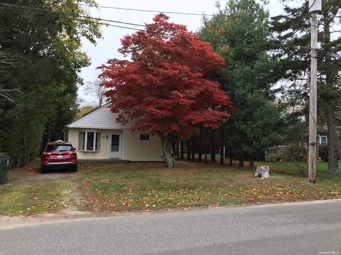 Adorable 2 Bedroom Cottage in SH North Adorable two bedroom cottage with loft located in the charming neighborhood of North Sea/Southampton. Recent upgrades. Turn key or renovation/expansion possibilities.