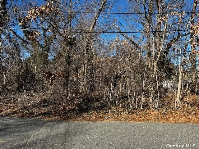 Beautiful wooded flat acre lot on a residential street with access to all your major roads and stores, schools, universities, ad Hospitals. Build your Dream Home. Come take a look!!!
