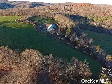 Spectacular views with this mountain retreat with 73.71 acres of cleared pastures for farming & hardwood forest. An insulated, 12, 000 sq ft warehouse with a 1000 sq ft basement. Main house with 4 bedrooms & a separate 2 family house to help with additional rental income. Also a small studio, pond & spring. Currently used for aging soybean paste & kimchi, drying herbs , growing vegetables & honey farming.