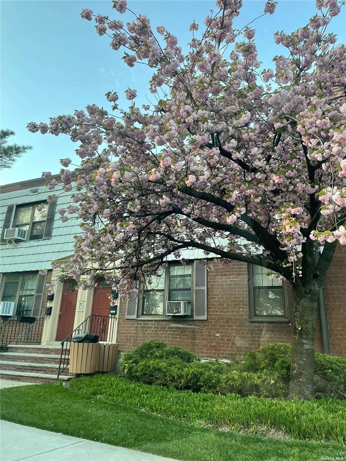 Move Right Into This Excellent One-Bedroom Garden Condo In Beautiful Regent&rsquo;s Park Gardens, The Unit Has An Updated Kitchen, A Recently Renovated Bathroom, Good Location Near 4 Major Highways & Flushing Meadows Park, Near Public Transportation. Parking Permit Included. Heat & Hot Water Included.