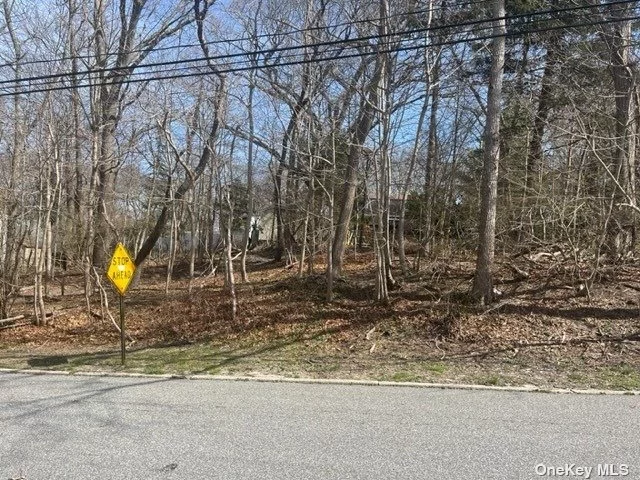 BUILD YOUR DREAM HOME! Great Midblock Location with Curbs. Partially Wooded, Private Beach Access. Buyer to Submit Plans to Town for Approval and Obtain Proper Building Permits.