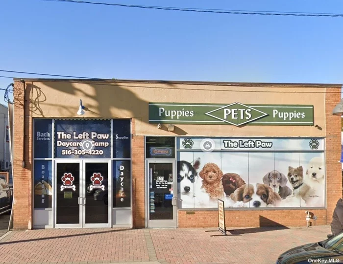 Perfect opportunity for a business to have a storefront in the Village of New Hyde Park! This spacious building offers approx. 4, 000 sqft + approx an additional 100 sqft of office space and an additional 400 sqft of storage. Located in a high traffic area and near all public transportation.