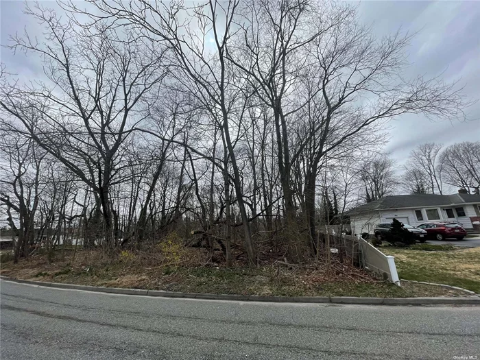 .03 Acre Lot, Not Cleared. The Perfect Parcel With Low Taxes For Boaters Wanting Access To The Smithtown Marina! Builders, if you&rsquo;re looking for transfer of development rights, this is a perfect set up for you!