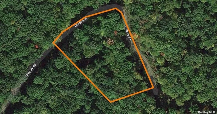 Uncover the extraordinary potential of this 1.70-acre parcel nestled in the picturesque landscape of Glen Spey, NY. Enveloped by verdant trees and charming bushes, this expansive plot also boasts adjoining vacant lots, offering boundless opportunities for development or expansion. Immerse yourself in the enchanting lifestyle of Glen Spey, where community warmth intertwines with natural splendor. Explore nearby attractions such as the tranquil Delaware River for fishing, hiking, and leisurely strolls. Priced below market value, this property presents an unparalleled investment opportunity, delivering the best deal on the market. With easy access to the nearby metro area,  seize the chance to embrace the quintessential charm of Glen Spey.