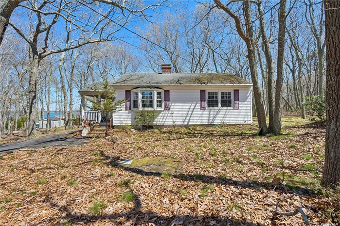 House is livable as is with great potential as a reno project - located on a quiet cul de sac with proximity to shops, beach and Village of Sag Harbor. Water views. Plenty of room for expansion and pool.