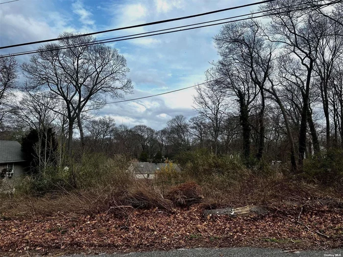 Flat 80/100 vacant land in a residential neighborhood. MILLER PLACE SCHOOL DISTRICT. CLOSE to beaches and shops. All information should be verified by buyers.