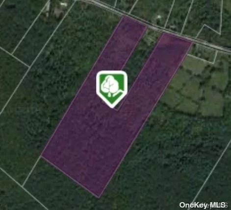 Pristine piece of land, amazing woods and greenery primed for residential development. 34.86 acres of raw land not engineered. Great Frontage on Irish Cape Road. Land features great opportunity to build or possible subdivide. Features beautiful greenery in this amazing piece of land. Located in on pristine Catskill land higher up on the hills vacant stretch leading onto Ulster Heights Road and Katzman Road. Situated and nested in between the Catskill Mountaines and West Shawangunk Ridge on Irish Cape Road. Close to popular restaurants and shops in Ellenville and a short drive to Minnewaska and Mohonk State Park and Resorts World Catskills. Located in the Town of Warwarsing.