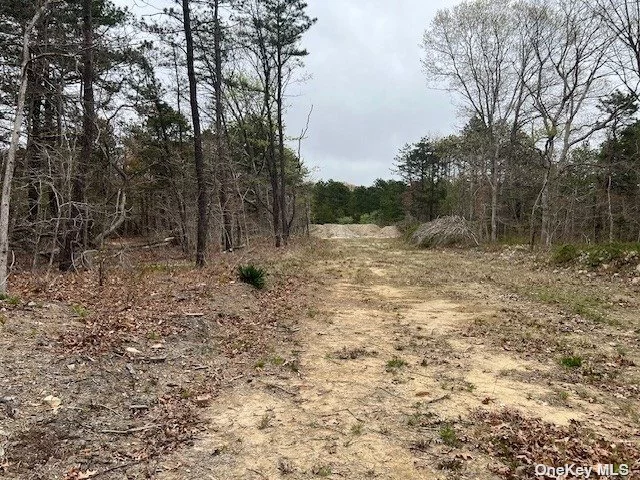 Build your dream home on this private 3.194 ACRE LOT on cul de sac. 3 lots available. Ranging from 2.164 acres to 3.194 acres. Beautiful treed property.