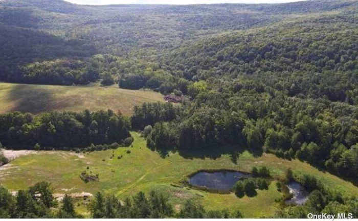 Don&rsquo;t let this opportunity slip away! Own 82 acres of meticulously surveyed land with site plans ready for your subdivision. With two access roads, this prime location is just minutes from Troy, Tomhannock Reservoir and the scenic Grafton State Park.
