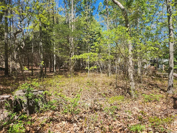 Residential On Almost One Acre. Perfect For Building. Buildable .95 Acre Nestled Between Lots 3970 And 4240. Wooded Lot With Nature Preserve Behind The Property Line.