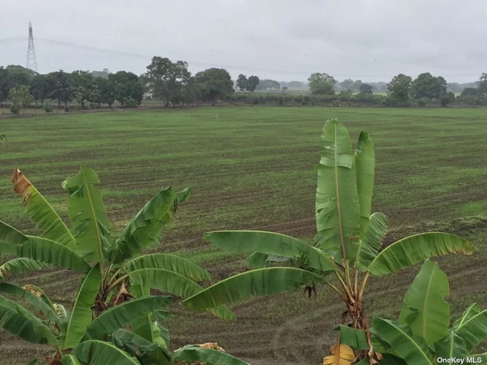 Propiedad grande de 42 Hectareas, se cultivan no me nos 1, 500 qq de arroz y soya, tiene una piladora ( no funcionando), actividad porcina ( chanchera para 200 crios ) El peque?o tambien es parte de la propiedad y el estero de agua....