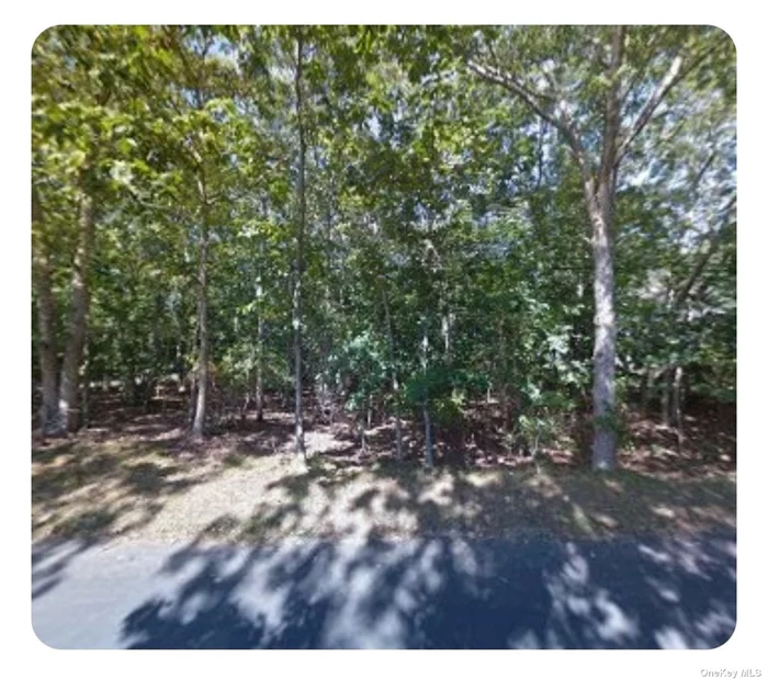 Do not miss this opportunity to acquire this 0.41 Acre vacant corner lot on the border East Hampton and Amagansett.  The generous lot coverage, 17, 860 sf, provides ample footprint for your new home. Only two blocks from Waters Edge Road on Gardiner&rsquo;s Bay. Close to Barnes Hole Beach. Peaceful and tranquil surroundings while still close to East Hampton Village, Amagansett and Ocean Beaches. This corner lot must be seen!