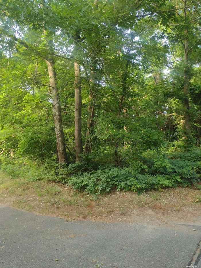 Build your brand new home on this Single and separate vacant lot. Great for a builder, or investor