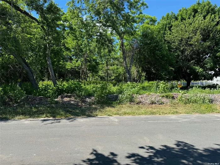 Rare Shy Of An Acre Lot Located In Sought After Cutchogue Community Backing Up To 3.3 Acres Of Woods With No Neighbor Behind You. Level And Partially Cleared, This Property Is the Perfect Blank Canvas On Which To Create Your New North Fork Dream Home. Prime Nassau Point Beach, Kayak Launches, And Boat Ramps Nearby. Convenient To All The North Fork Has To Offer.