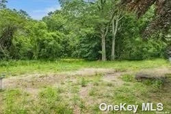 Build your deam home within the Harborfields community. Already subdivided and cannot be again as this is in 1 acre zoning. There is a conservation area of about a half-acre that can not be built on. The land is mostly cleared and partly wooded.