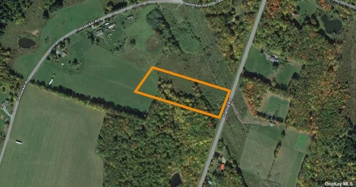 Escape to the scenic beauty of Livingston Manor, NY with this expansive 5-acre parcel, Lot 7, featuring a delightful mix of open space and partial woodland. Imagine the possibilities of building your dream home or country retreat amidst the tranquil surroundings of the Catskill Mountains. Livingston Manor, renowned for its charming rural atmosphere and outdoor recreation opportunities, offers a haven for nature enthusiasts and those seeking a peaceful lifestyle. Explore nearby attractions such as the Willowemoc Wild Forest and Livingston Manor Fly Fishing Club, perfect for outdoor adventures year-round. Located just 100 miles northwest of New York City, this property provides easy access to metropolitan amenities while enjoying the tranquility of upstate New York. Don&rsquo;t miss this rare opportunity to own below market value - seize the best deal on the market and start living your country dream in Livingston Manor today!