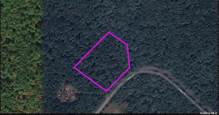 Discover this 2.4-acre wooded parcel in the serene community of Spey, NY, offering unrestricted use and a peaceful, natural setting. Perfect for nature enthusiasts, this property is surrounded by lush forests and close to scenic outdoor attractions like the picturesque nearby lakes and hiking trails. Enjoy the charm of small-town living with easy access to local amenities and just a short drive to larger metro areas for added convenience. Priced below market value, this is truly the best deal on the market-don&rsquo;t miss out on this exceptional opportunity!