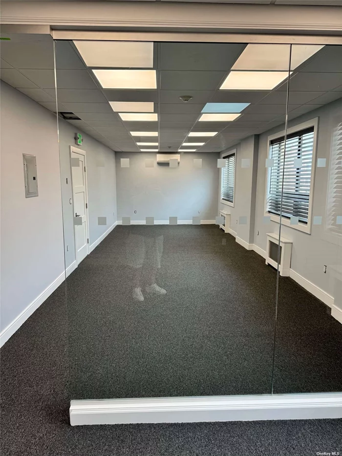 Second floor office suite located in the heart of downtown Garden City. Convenient to shops, restaurants and the LIRR.Newly (2024) renovated office, approximately 600 square feet including a soundproof 12x12 office. 2 shared hall powder rooms.